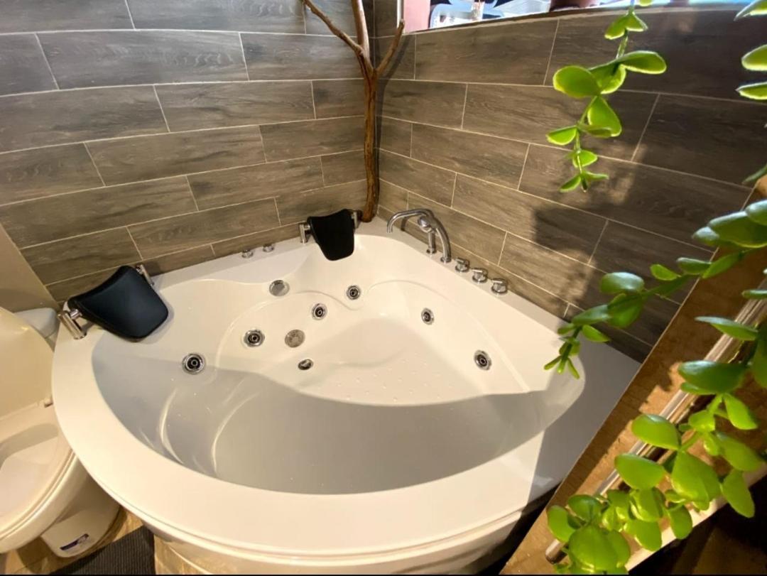 Casa de férias Casa Alma Jacuzzi Aire Acondicionado Wiffi Bar